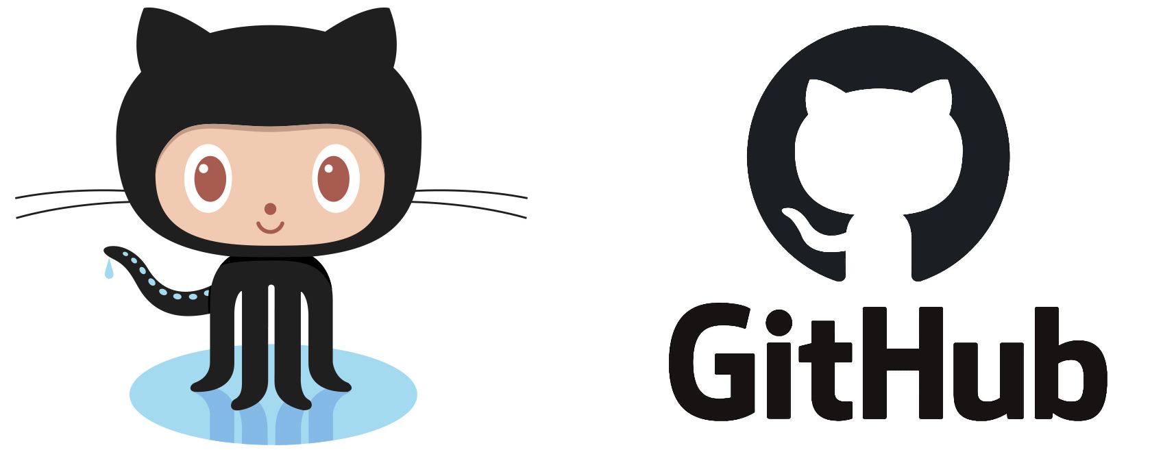 GitHub Octocat